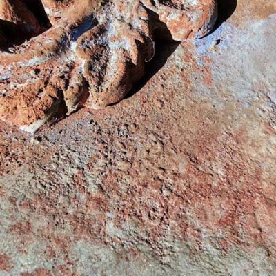 Jouer avec les textures est la spécialité de Marie de la Grange aux Papillons.