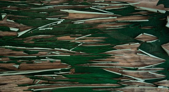 Close-up of weathered green paint peeling on a wooden surface, revealing intricate textures.