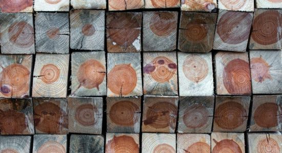 Detailed view of stacked wooden logs displaying tree rings, showcasing natural patterns and textures.